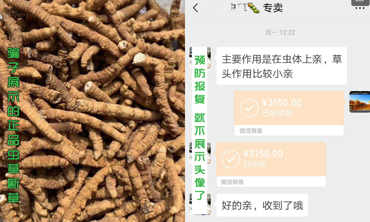 蟲草騙局