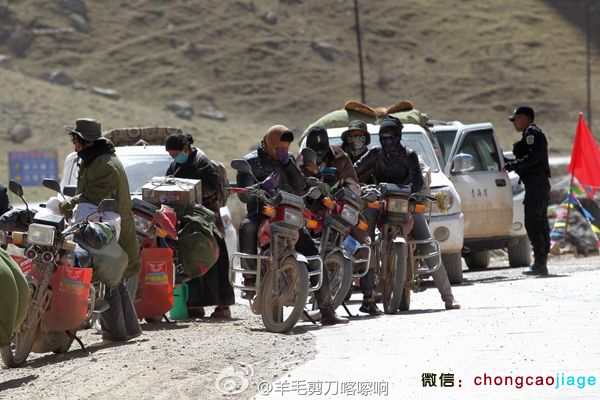 采挖蟲(chóng)草的藏民們
