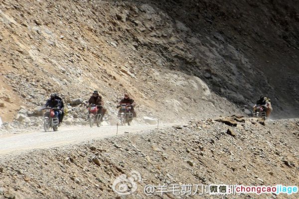  藏民騎摩托去采挖冬蟲夏草
