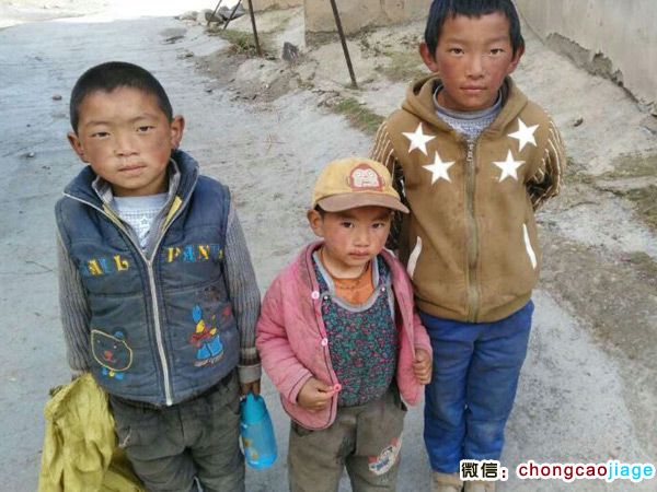 蟲(chóng)草采挖地的藏族小孩圖片