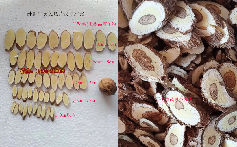 野生黃芪尺寸大小對比圖片