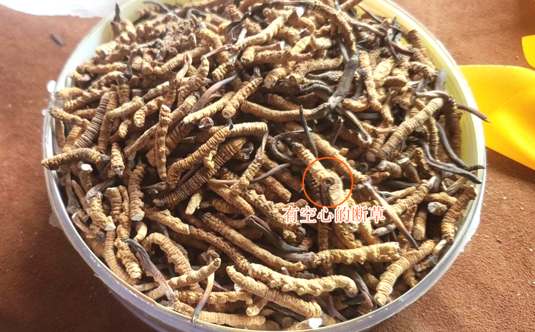 有空心的斷草