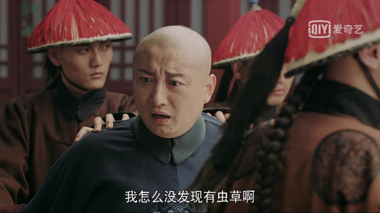 珍貴的蟲草