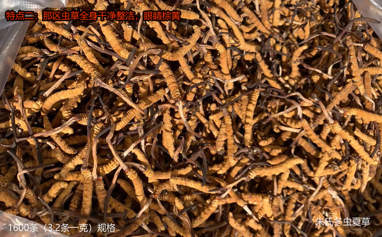 那曲冬蟲(chóng)夏草的特點(diǎn)之潔凈度高