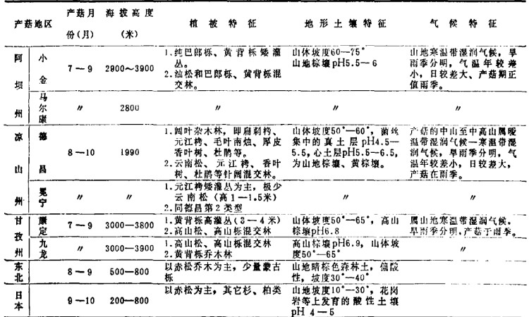四川松茸生態(tài)環(huán)境對比圖片