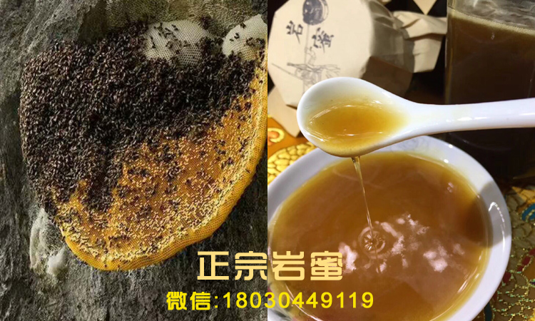 真巖蜜圖片