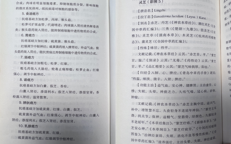 桑黃靈芝抗癌說明