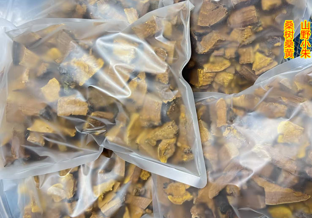 桑樹桑黃切塊
