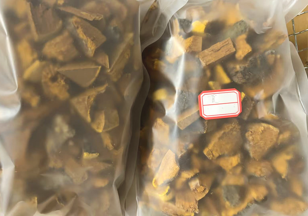 發江蘇常州桑黃圖片