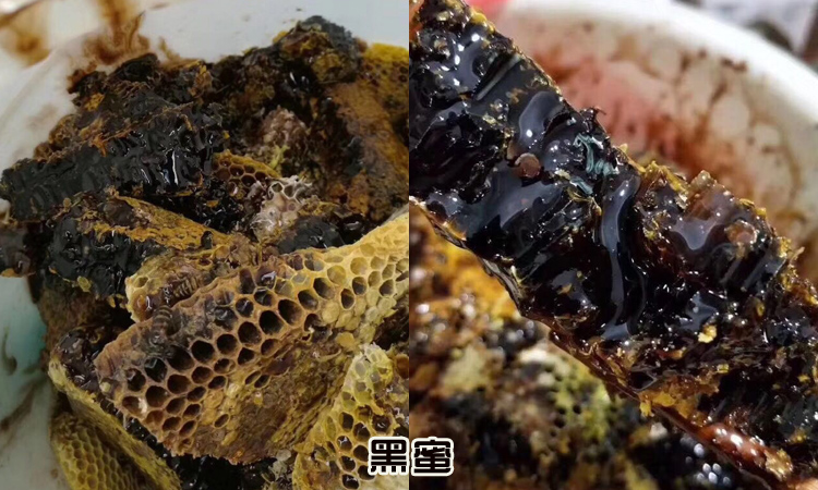 野生黑蜜圖片